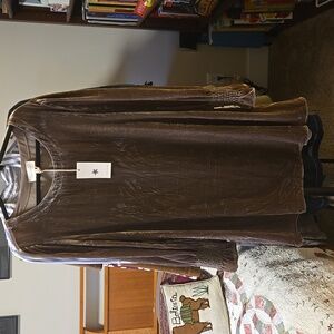 NWT Dear John Velvet Dress